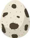 うずら卵
