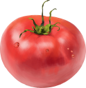 水滴付きのトマト