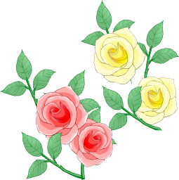 2色のバラの花の詰合せです。