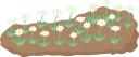 花畑