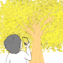 銀杏の木を撮影する人