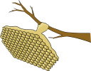 木の枝に作られたアシナガバチの巣のイラストです。