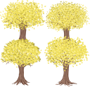 同じ手法で描いた4本のイチョウの木の詰め合わせです。