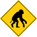 猿に注意