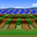 農地利用型の太陽光発電