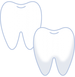 健康な歯2点セット