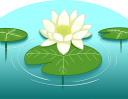 ヒツジ草