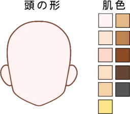 子どもサイズの頭の形　肌色11色