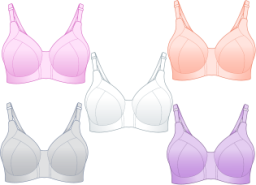 ブラジャー5点セット