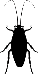 シルエットのゴキブリ