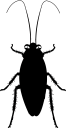 シルエットゴキブリ