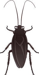 ゴキブリのイラスト