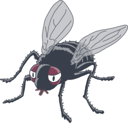 ハエのイラスト