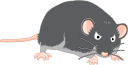 ネズミのイラスト