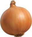 玉ねぎ