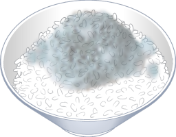 カビの生えたごはん