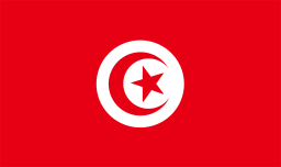 チュニジア共和国の国旗