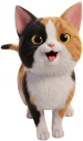 三毛猫