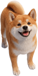 柴犬
