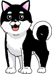 黒の柴犬