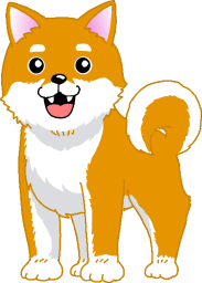 柴犬