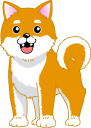 柴犬