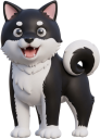 黒の柴犬
